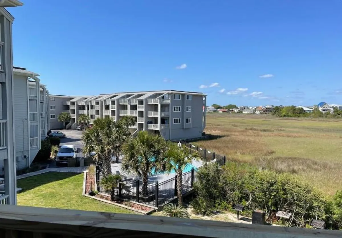 A welcoming exterior scene featuring a swimming pool surrounded by palm trees and nearby buildings, evoking a sense of community and inviting outdoor fun. The setting feels open and vibrant, ideal for both pets and owners to enjoy the outdoors together.